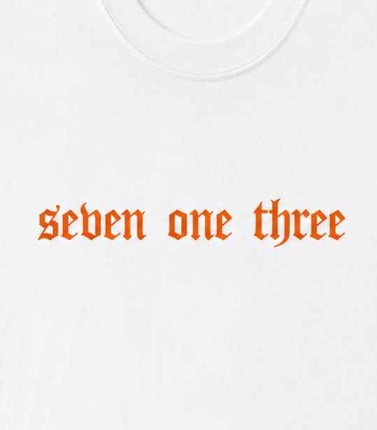 713 Championship White